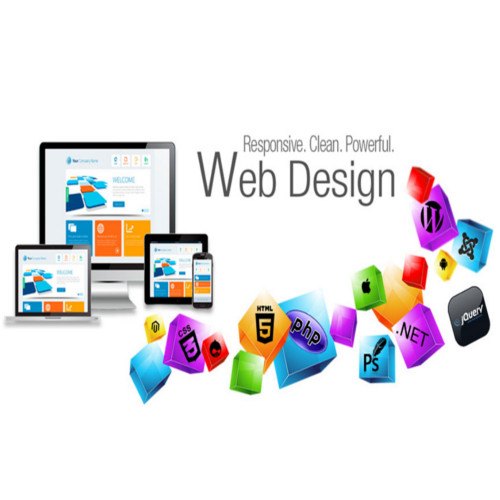 Website Designing Company In Champa